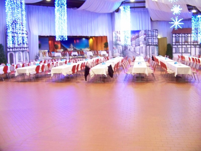 2010-12-11BallBaumhain 060